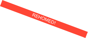 REHOMED!