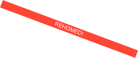 REHOMED!