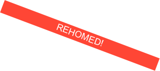 REHOMED!