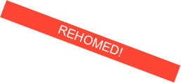 REHOMED!