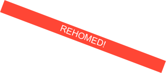 REHOMED!